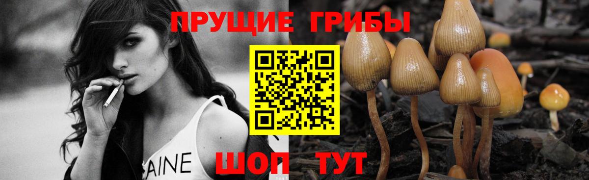 Галлюциногенные грибы мухоморы Коряжма