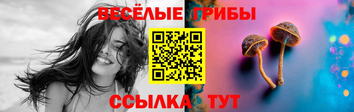 Галлюциногенные грибы мухоморы  Вход с VPN  Коряжма  Галлюциногенные грибы мицелий 